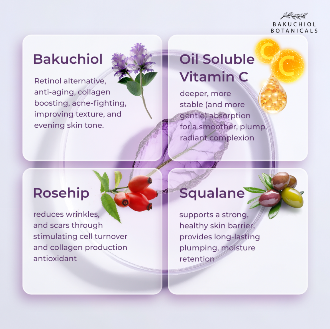 Bakuchiol Face Oil Serum